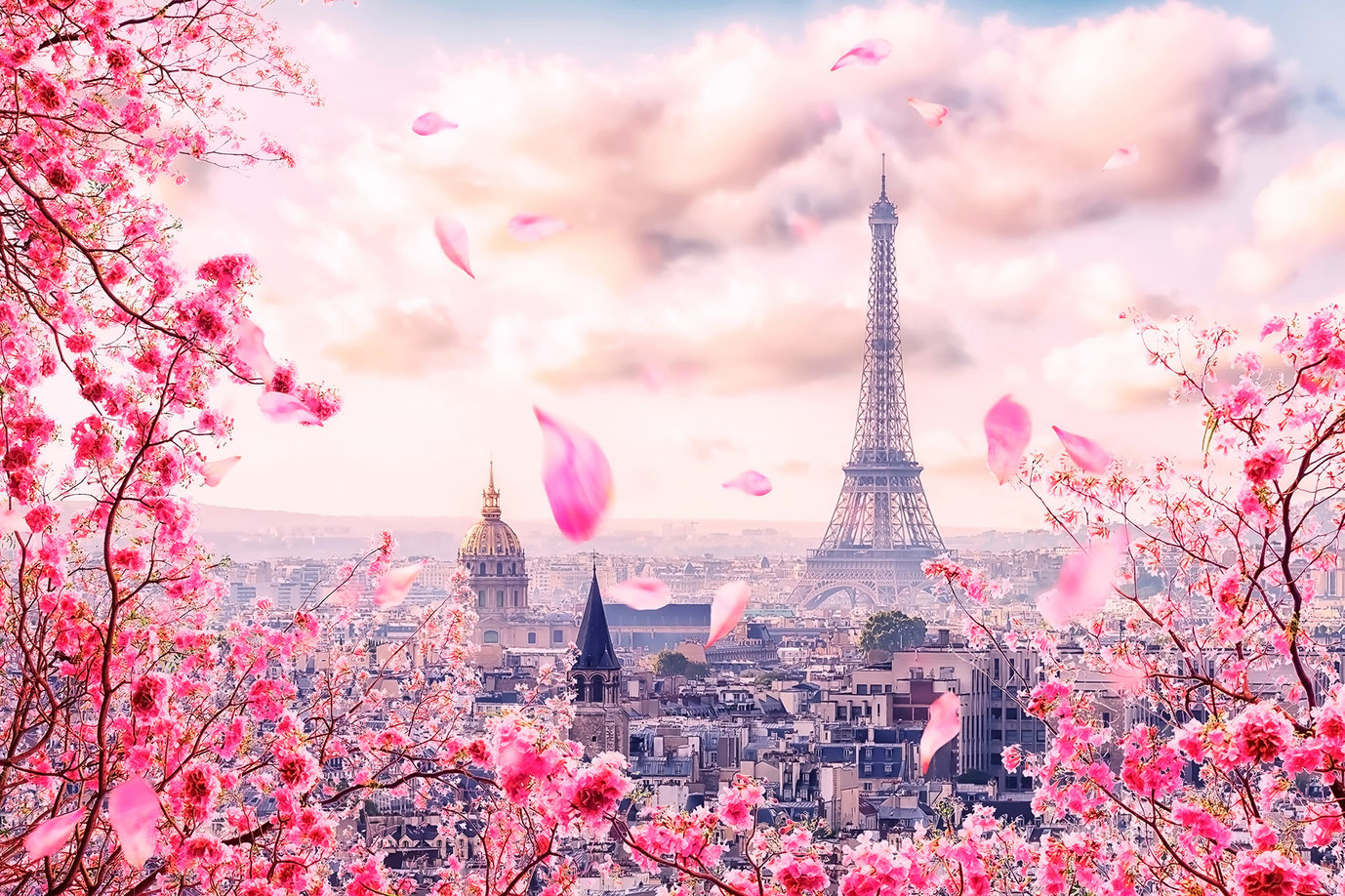 fleurirparis